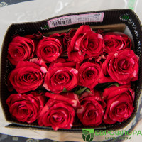 Микс (EC BLOOMS SAS) 