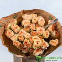 Роза кустовая Холли (Red Lands) 