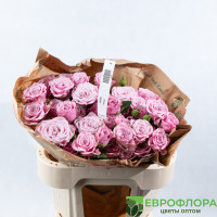 Роза кустовая Нола (Red Lands)