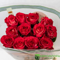 Роза Игуаза (HOJA VERDE)