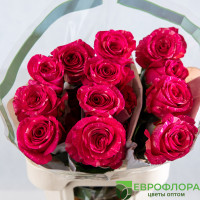 Роза Пандора (HOJA VERDE)