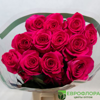 Роза Пинк Флойд (HOJA VERDE)