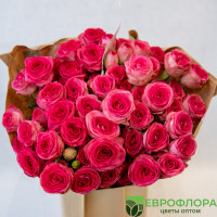 Роза кустовая Фабиола (Red Lands)